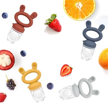 Fresh Food Feeder and Teether
